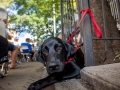 ferragosto_2012_1161