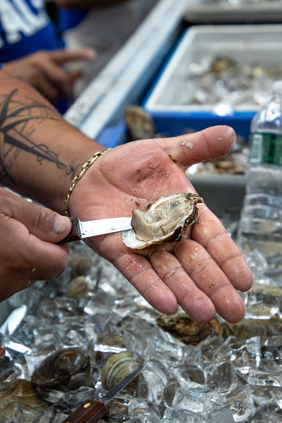 Instagram_Ferragosto_2022_048_websize